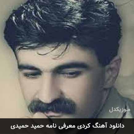 معرفی نامه حمید حمیدی
